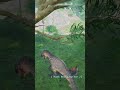 Ambush -The Isle evrima Allosaurus #theisleevrima #allosaurus  #theisle