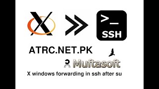 x windows forwarding for ssh after su in Linux