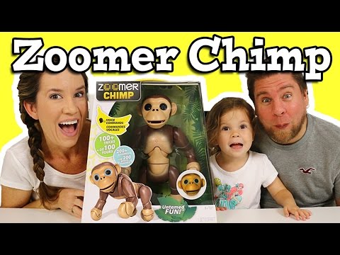 Zoomer