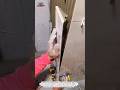 Perfect Tile Leveling System Installation | Satisfying Tile Fixing Tool You Must See
