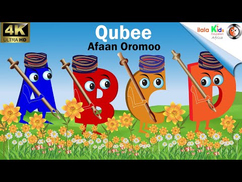 Qubee Afaan Oromoo Shaakala Daa Immanii Barnoota Sadarkaa 1ffaa Duraa