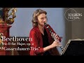 Beethoven trio b flat major op 11 gassenhauertrio  sabine meyer  sol gabetta  seongjin cho