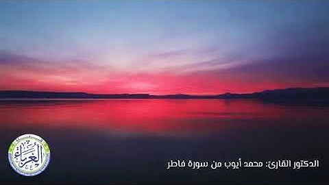 من أجمل تلاوات القارئ محمد أيوب "ايات من سورة فاطر "