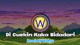 Di Cuekin Kaka Bidadari (DJ Wahyu)