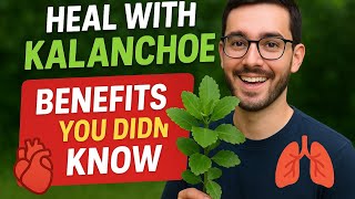 Kalanchoe: The Healing Plant Hiding in Your Garden