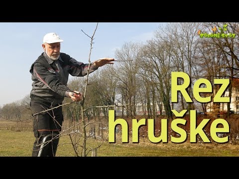 Video: Omaka Breskev In Hrušk