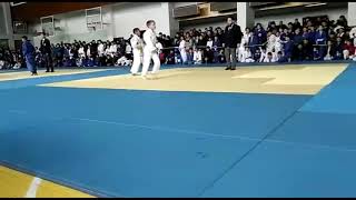 detskoe judo