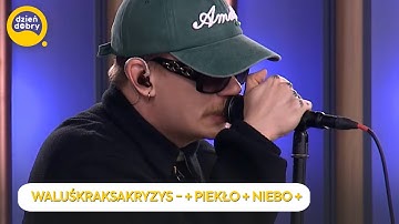 WaluśKraksaKryzys śpiewa "+ piekło + niebo +" w Dzień Dobry TVN!