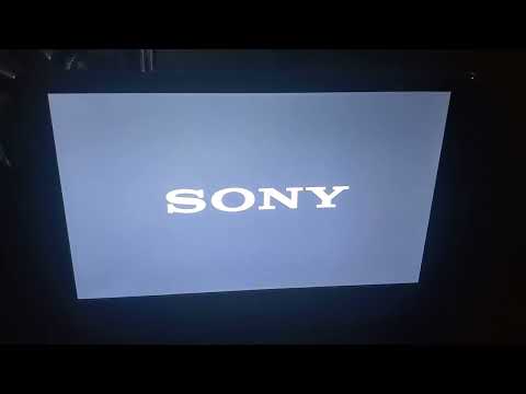 Searching 2018 DVD Opening 