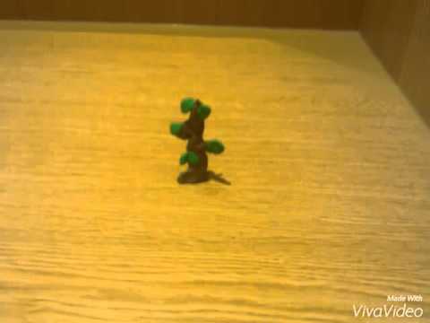Stop motion animation- sapling to small tree