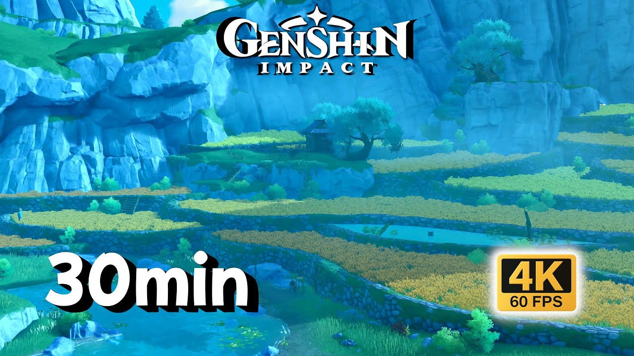 30-MIN Study • Qingce Village Terraced Fields Breeze | Genshin Impact 4K