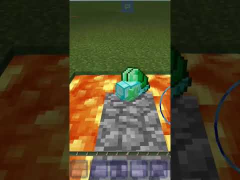 وش رايكم ذكاء ولا غبا