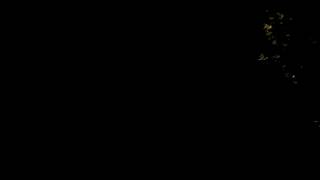 VID 20130907 213854