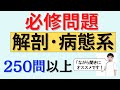 【聞き流しOK】必修問題　目標Ⅲ　過去18年分出題　58:19の問題は4のビタミンEも正解です💦