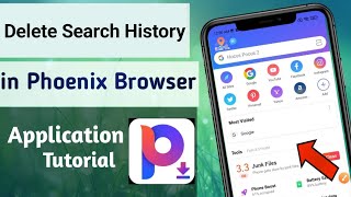 How to Delete Search history on Phoenix Browser App screenshot 4