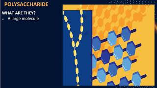 BIOPOLYMER