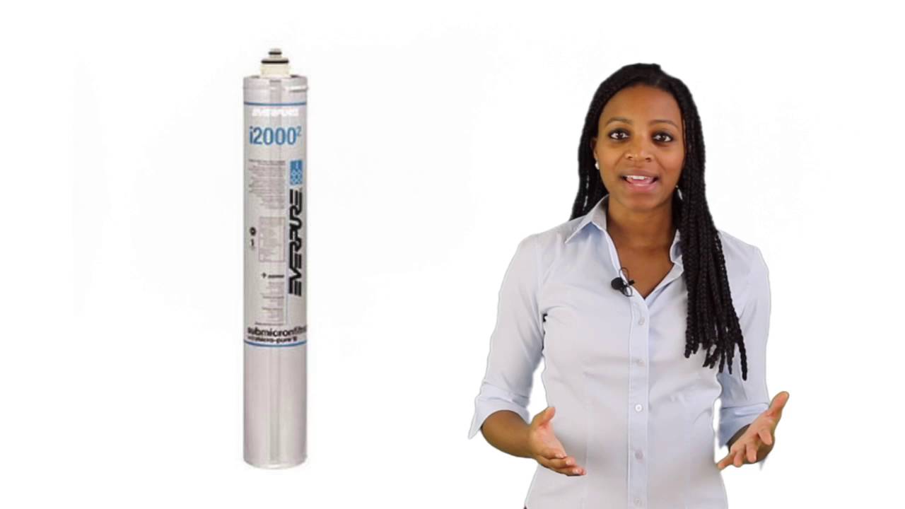 Everpure Pentair i2000 Water Filter 961227 YouTube