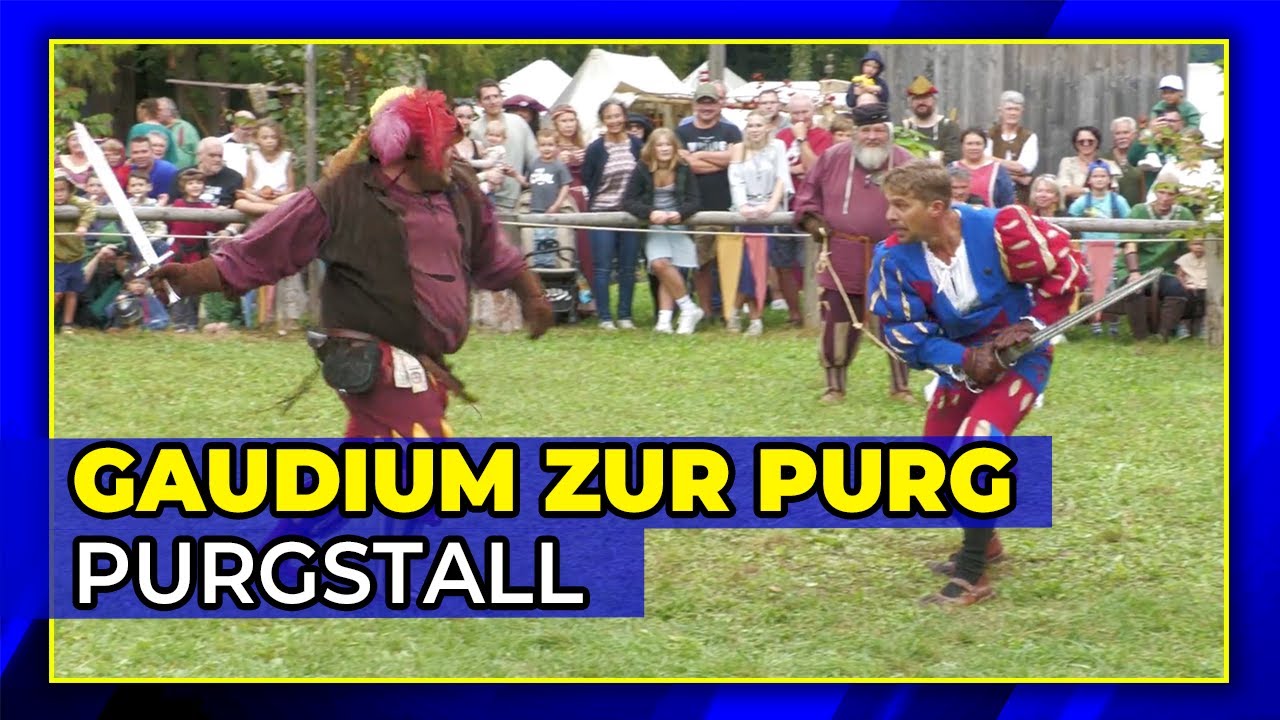 ✨🏰 Gaudium zur Purg – Das Mittelalterfest in Purgstall 🏰✨