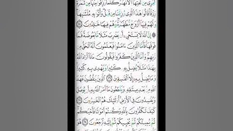 صفحة 5 القارئ الشيخ محمد صديق المنشاوي