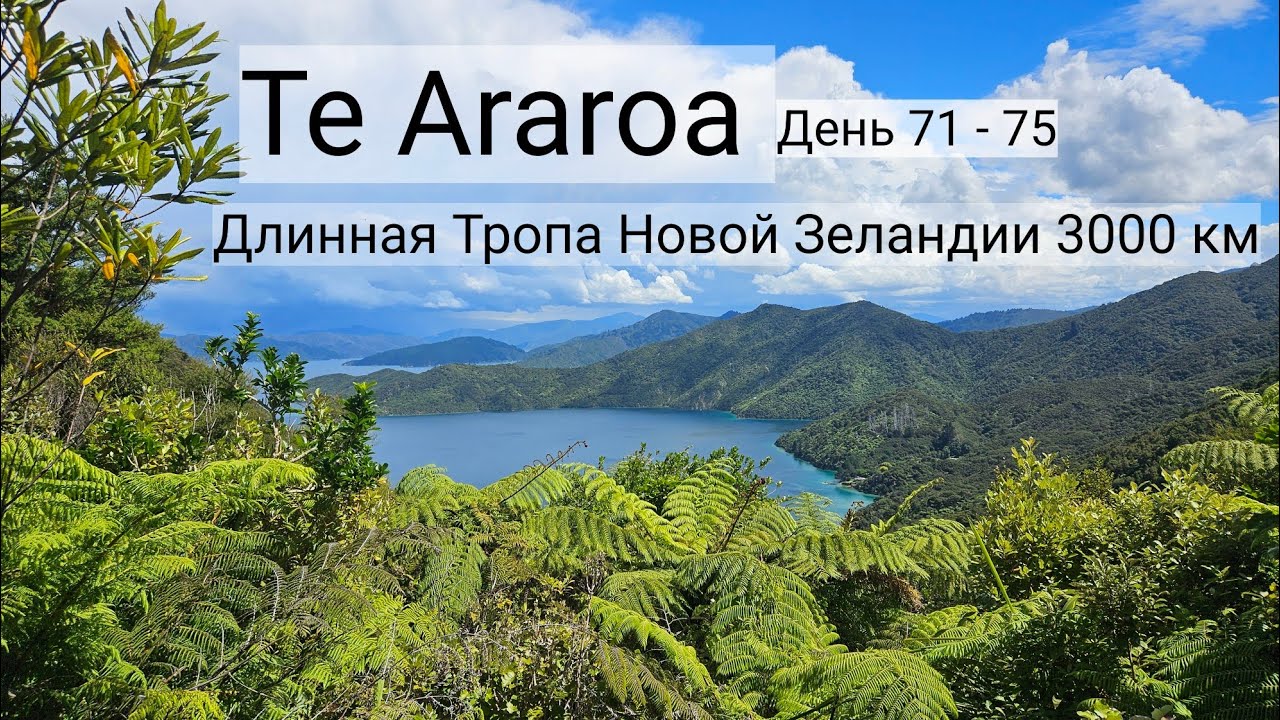 14. Te Araroa  - Длинная Тропа Новой Зеландии 3000 км. День 71-75
