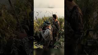 . Music My Go Away Dreammusician Not The King