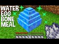 What IF USE BONE MEAL on WATER DRAGON EGG In Minecraft ???