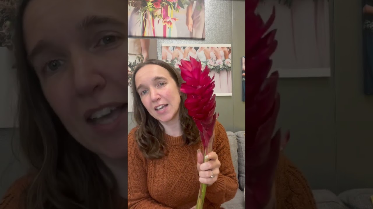 One minute quick talk about red ginger flowers! 