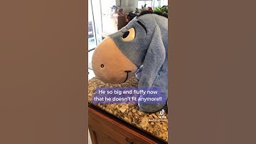 Stuffed Animal Repair #Stuffed #Animal #Repair #StuffedAnimalRepair