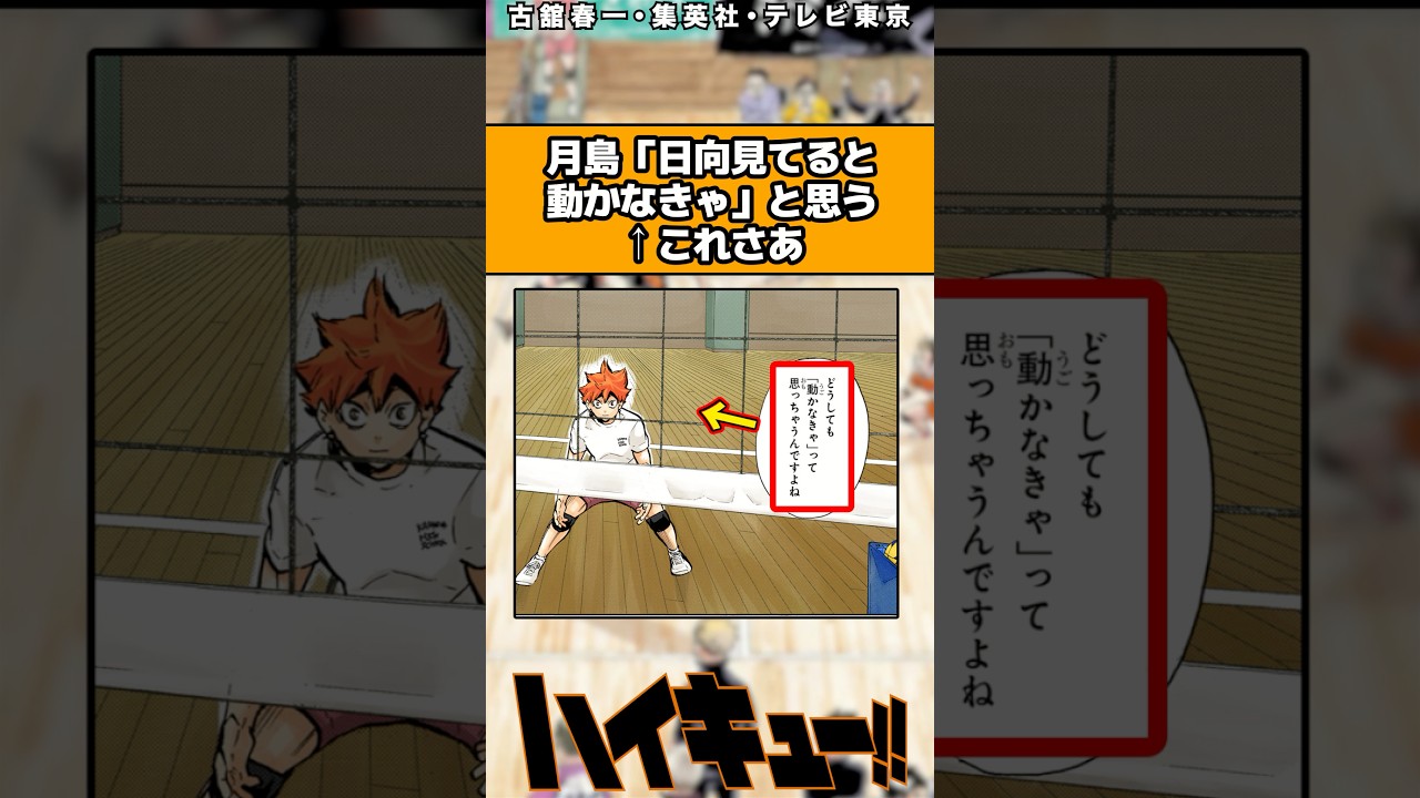 月島「日向を見てると動かなきゃと思う」#ハイキュー #ハイキュー反応集 #shorts