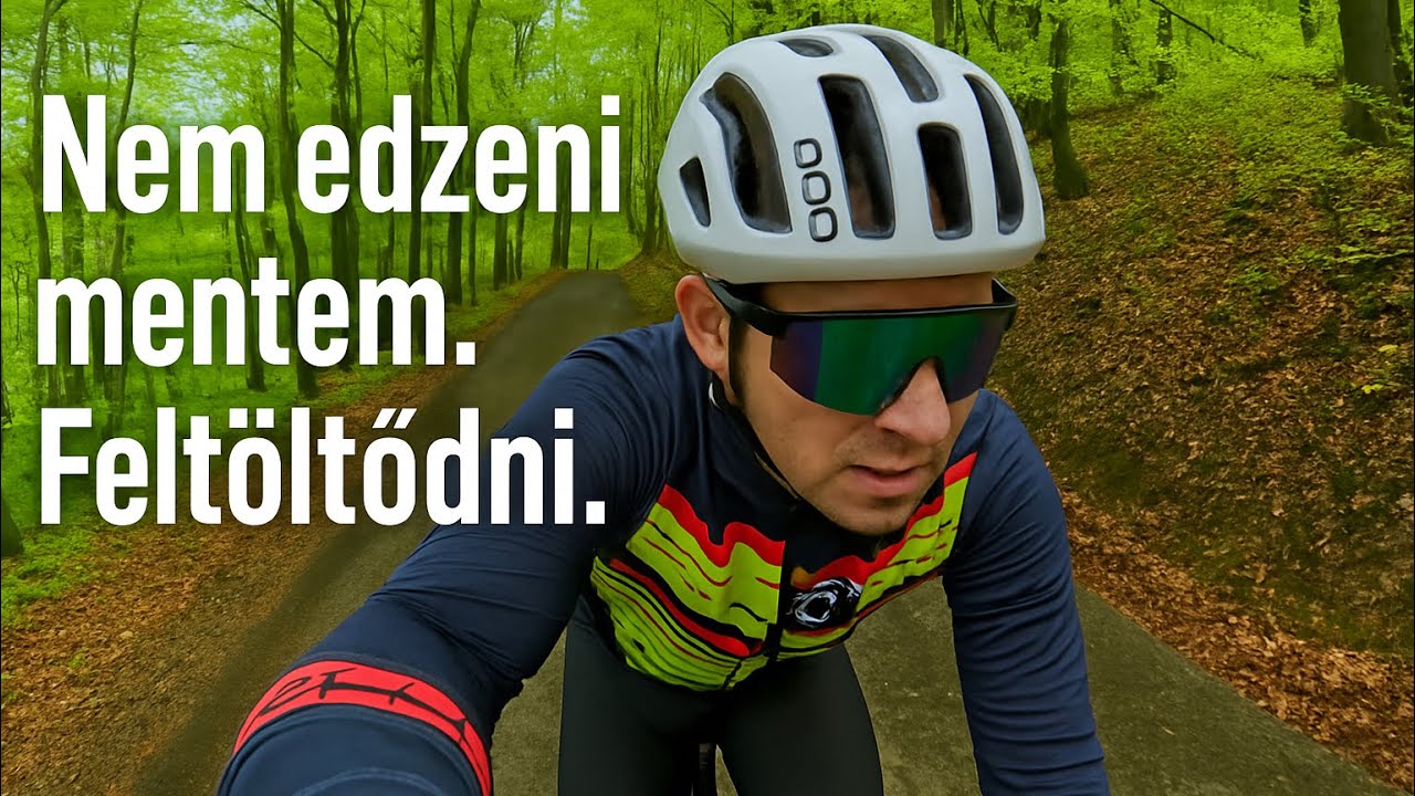 BÜKK TERÁPIA-BRINGÁVAL VISSZA A KÖZÉPPONTBA