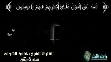 سورة يس|| القارئ الشيخ هاني الشحات||حفظه الله