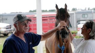 Horse Rescue Heroes | S1E4 | Full Episode