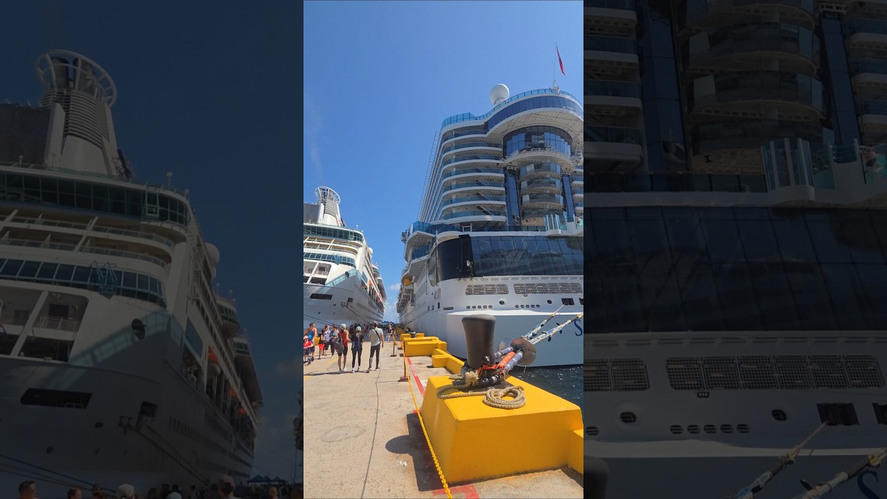 3 Cruise Ships in Port! MSC, Sun Princess & Rhapsody of the Seas #short #cruiseship #costamaya