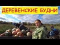 Деревенские будни / ОЧЕНЬ много тыквы / Помидоры лучше не подвязывать