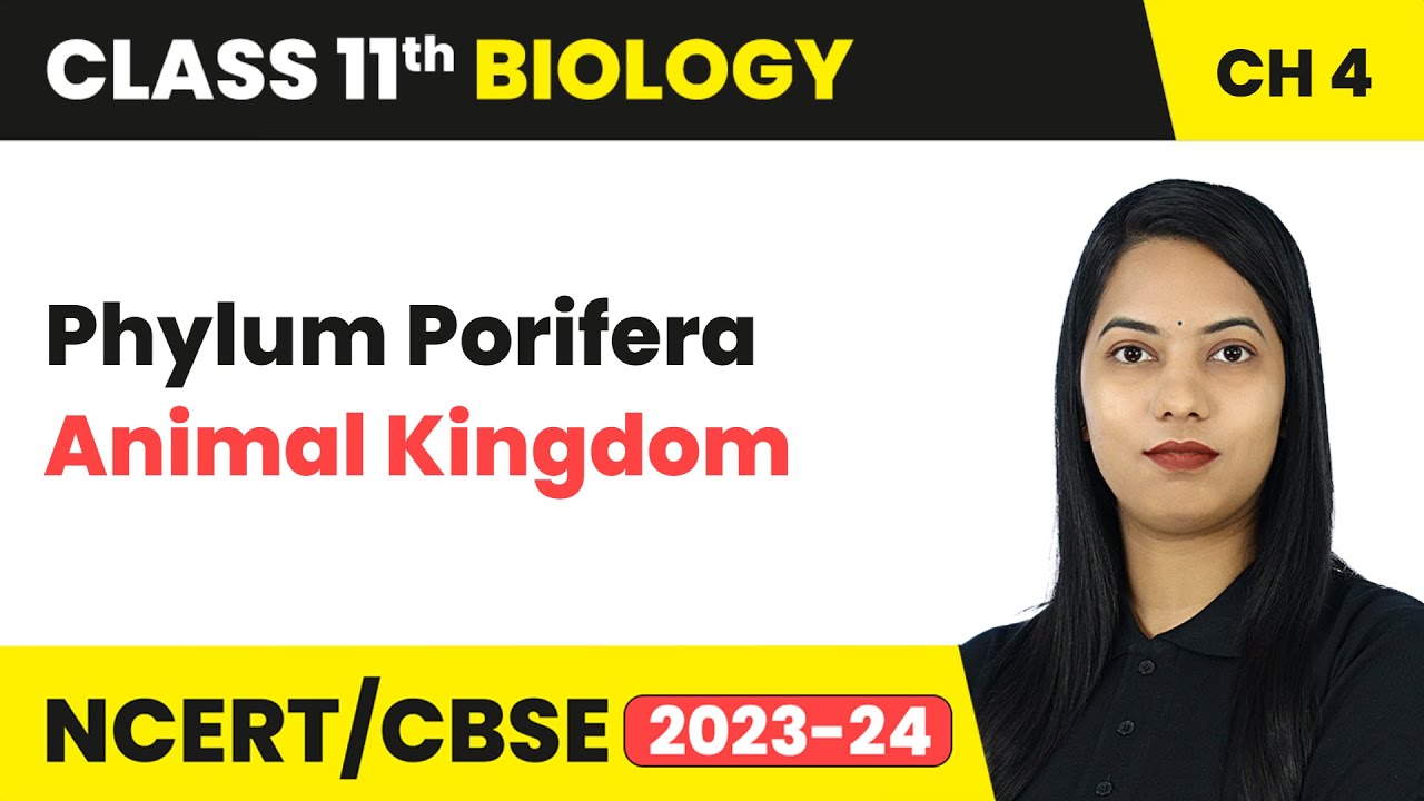 Phylum Porifera Animal Kingdom Class 11 Biology Chapter 4 CBSE phylum-porifera-animal-kingdom-class-11-biology-chapter-4-cbse