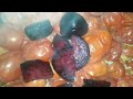 جبت قفص طماطم تعالوا شوفوا طريقتي في تفريز الطماطم وعملت منها ايه