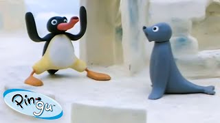 Pingu in the Snow 🐧 | Pingu -  Channel | Cartoons For Kids