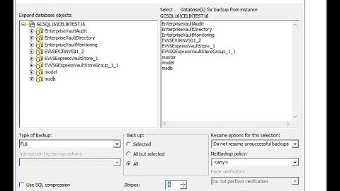 How to Backup Veritas NetBackup 8.2 Microsoft SQL Full Tlog and Intelligence