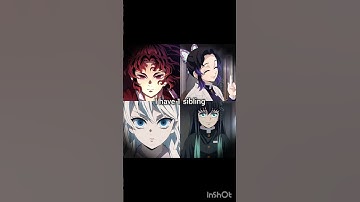 1 sibling #demonslayer #kimetsunoyaiba #edit #kny #fypシ゚viral