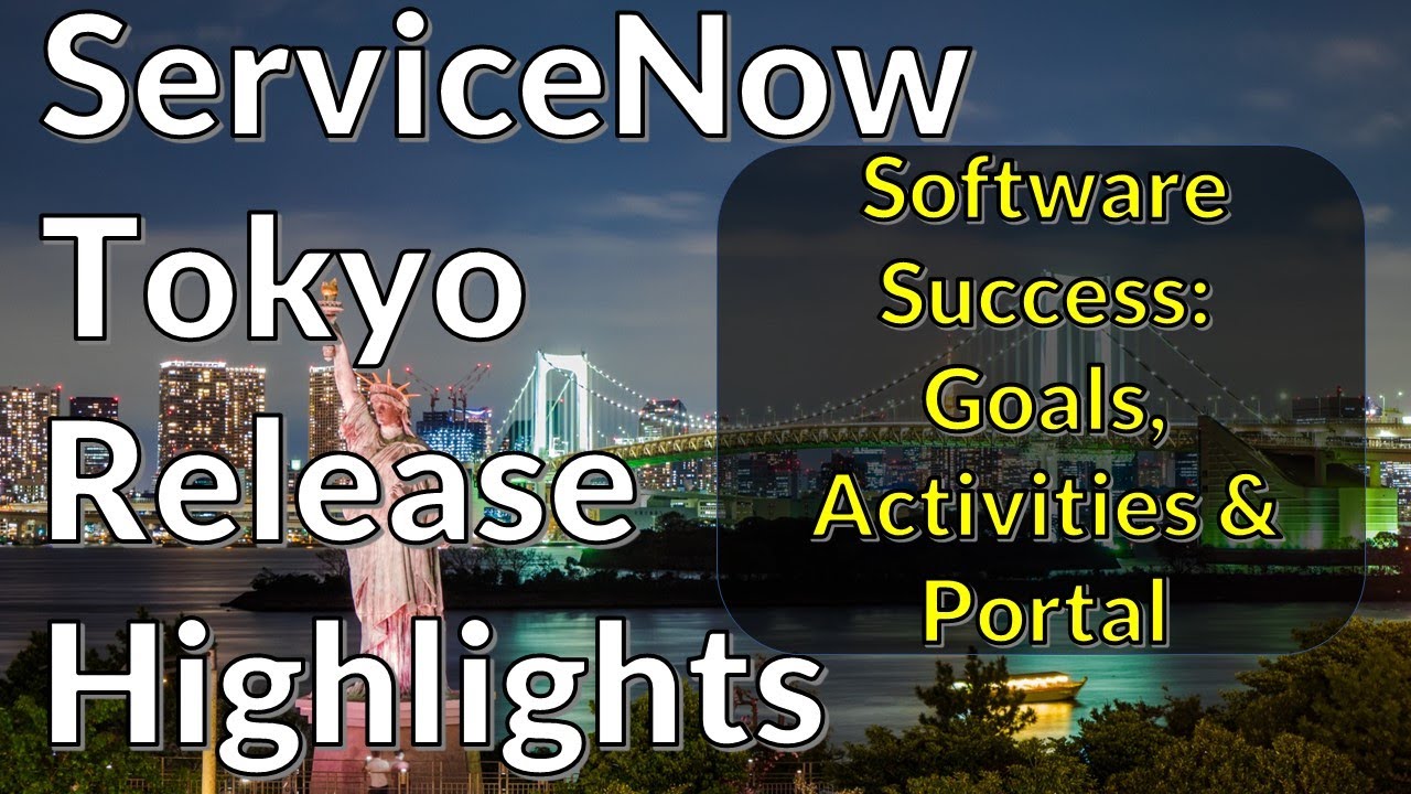 Software Success: Portal, Goals and Activities