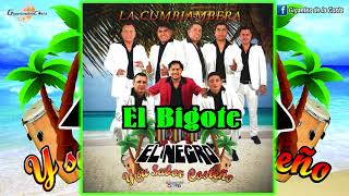 Video thumbnail of "El Bigote - El Negro Y Su Sabor Costeño ( Gigantes de la Costa )"