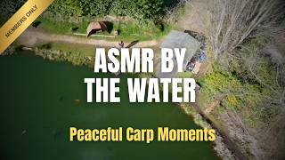 The Tranquil World of Meadow View Fisheries: An ASMR Experience