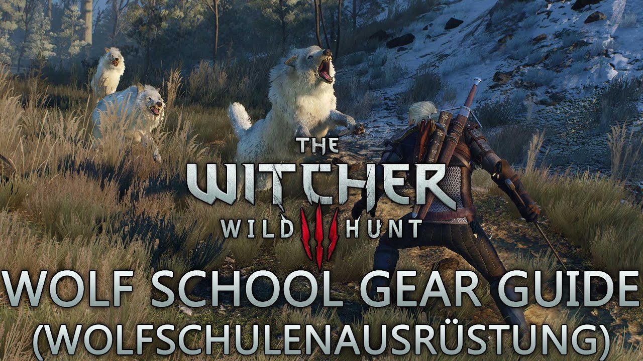 The witcher 3 witcher school gear фото 75