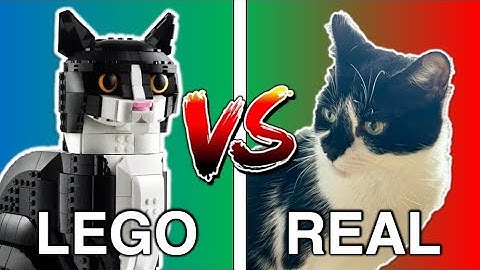 LEGO Cat vs REAL Cat (Comparison) 🐱