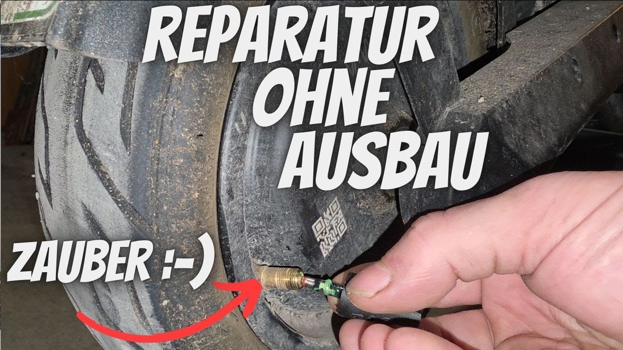 E-Scooter Platt, Reparatur ohne Radausbau