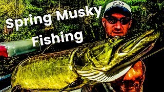 Spring Musky Fishing in Northern Wisconsin: Tips and Techniques