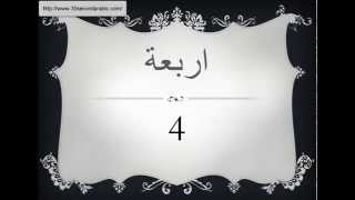Arabic Numbers from 1 to 20