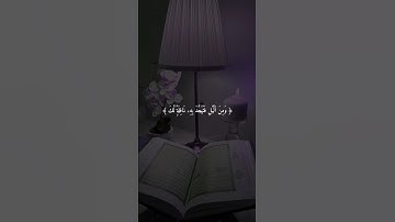 اكتب شيء تؤجر عليه 😴🩶| قران كريم | فارس عباد