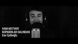 HAM MEYVAYI KOPARDILAR DALINDAN - Eser Eyüboğlu