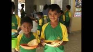 Brazil education screenshot 5